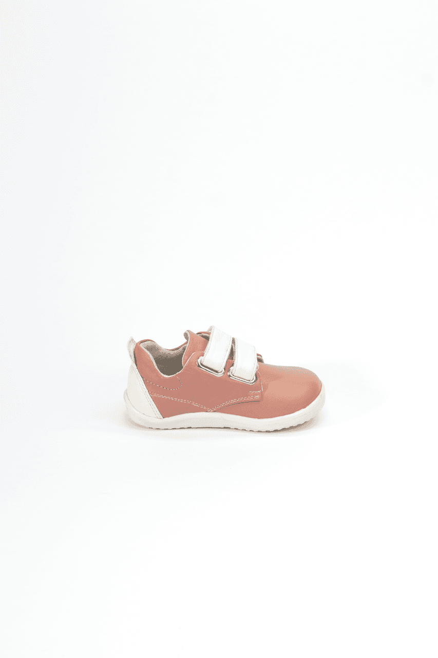 Para correr salmon 3