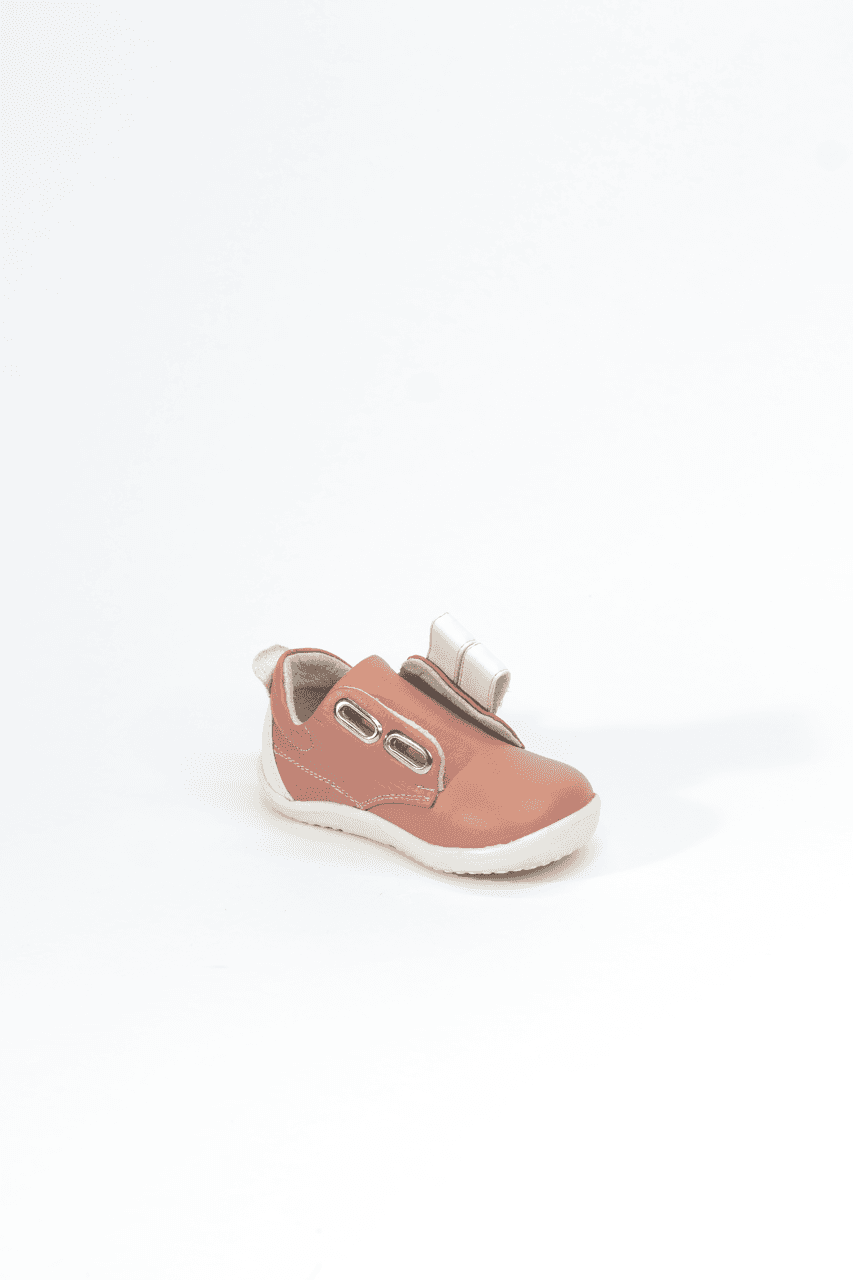 Para correr salmon 4