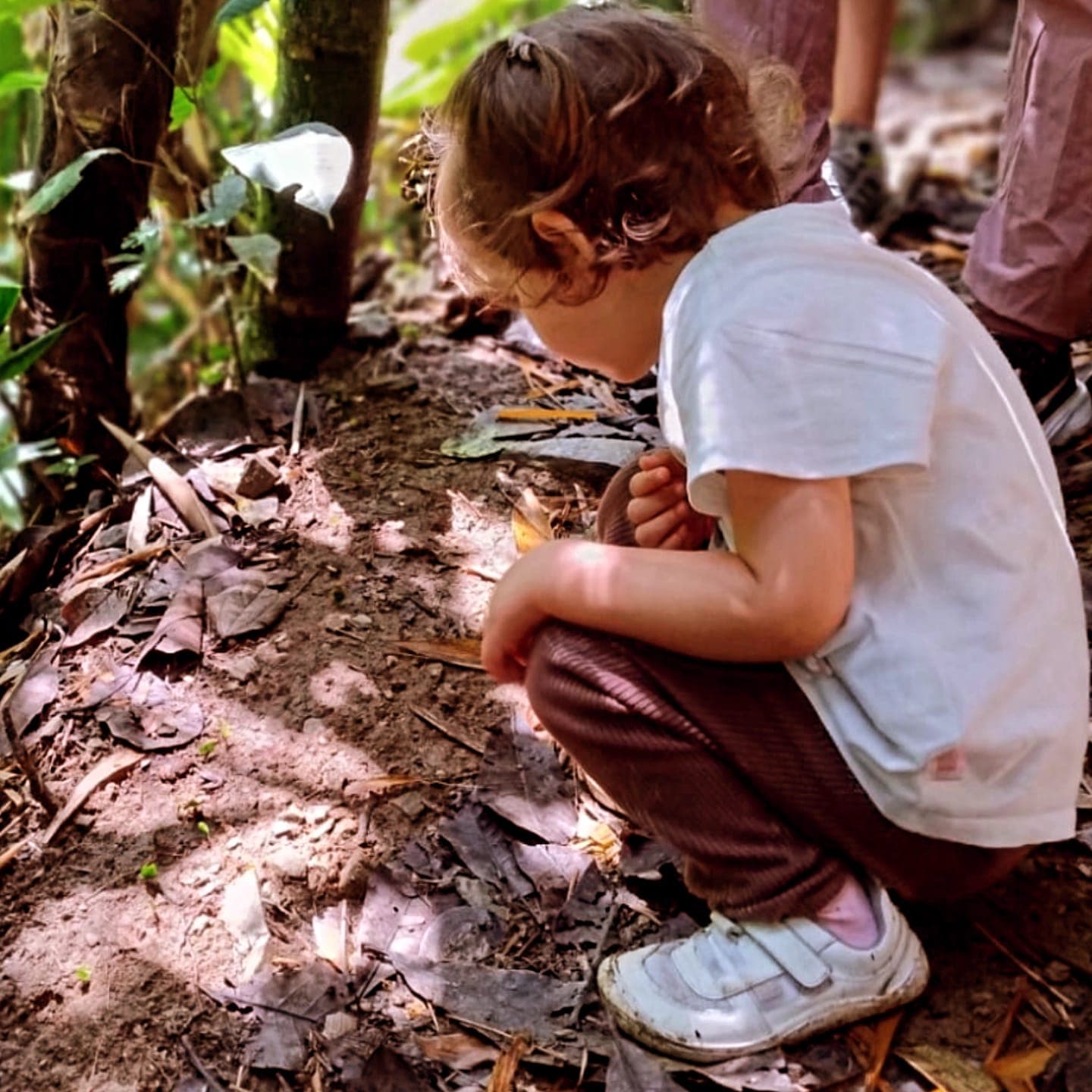 La Propiocepción: El Secreto del Movimiento Libre en la Infancia
